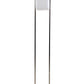 Hoag's Object I Floor Lamp