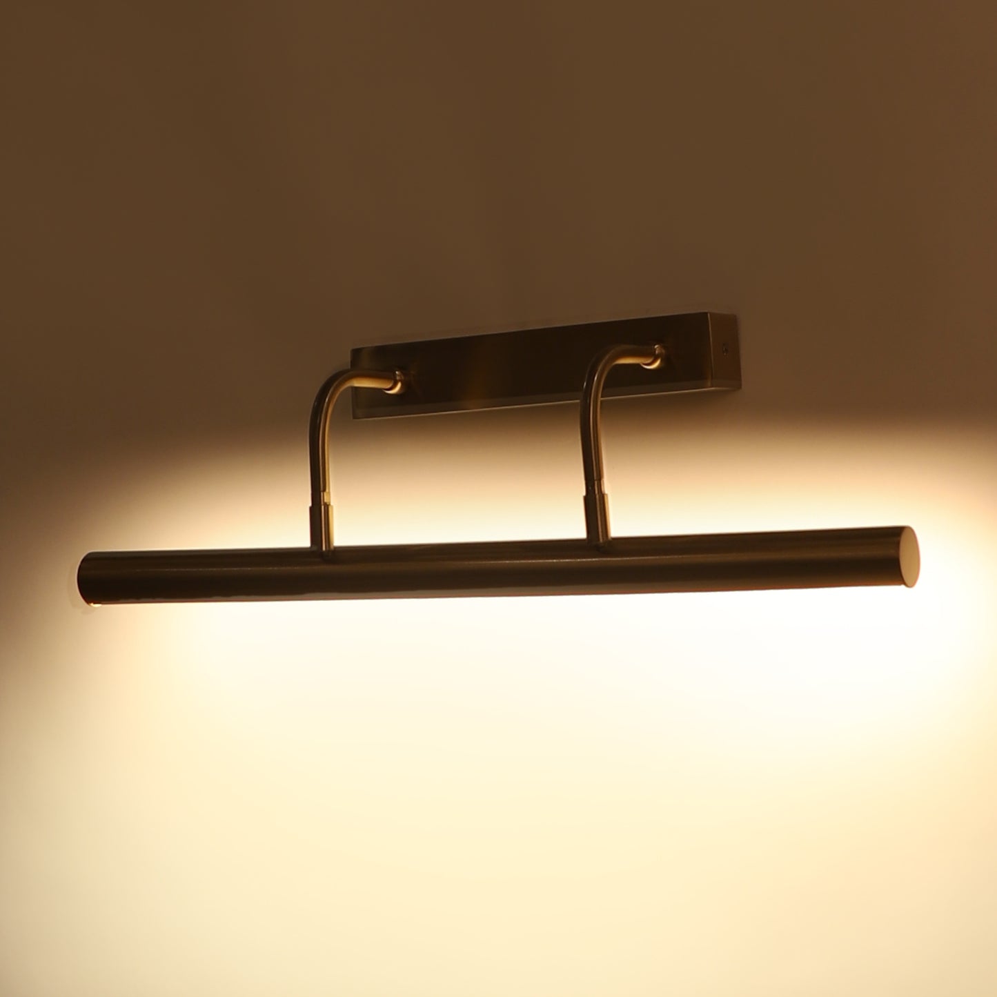 Picture Light (Big)